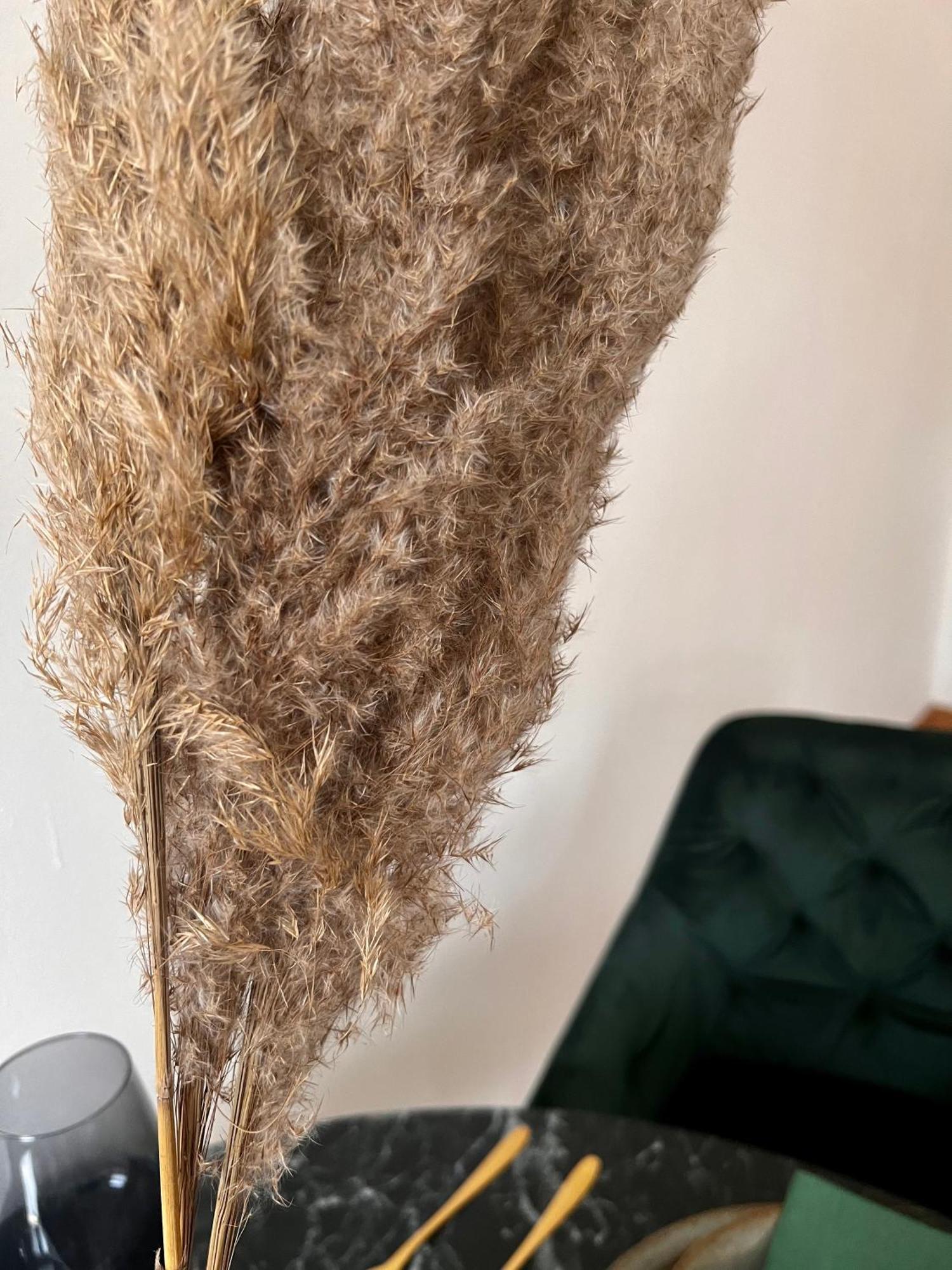 City Apartment Wien Ngoại thất bức ảnh